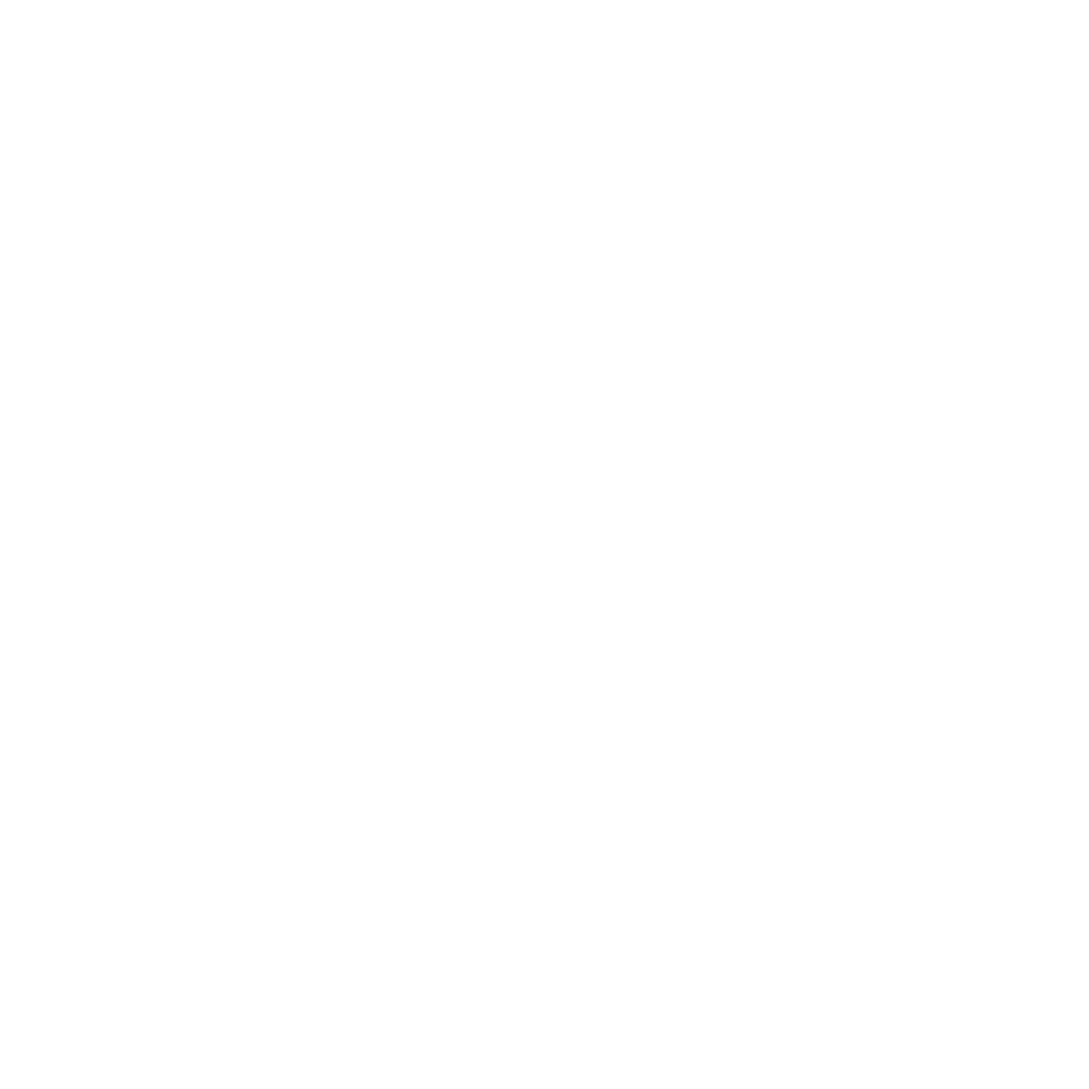 Logo Flag TO Flag Blanc